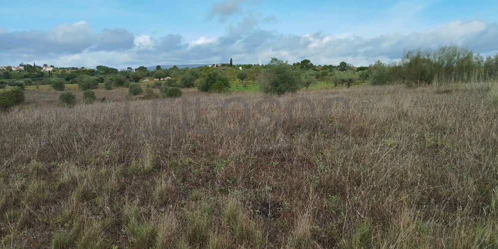 Terreno · Brogueira, Torres Novas 6