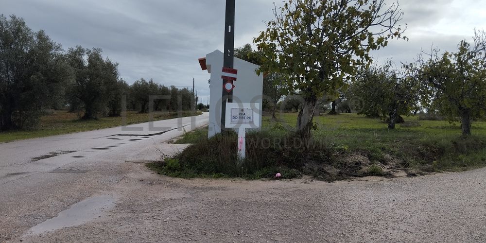 Terreno · Brogueira, Torres Novas 13