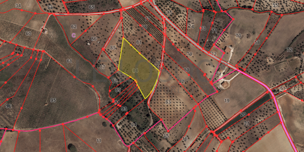 Terreno · Brogueira, Torres Novas 11