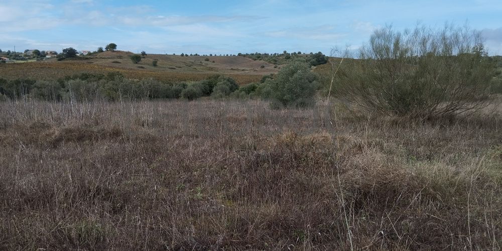 Terreno · Brogueira, Torres Novas 2