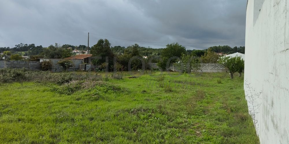 Terreno · Abrantes, Santarém 2