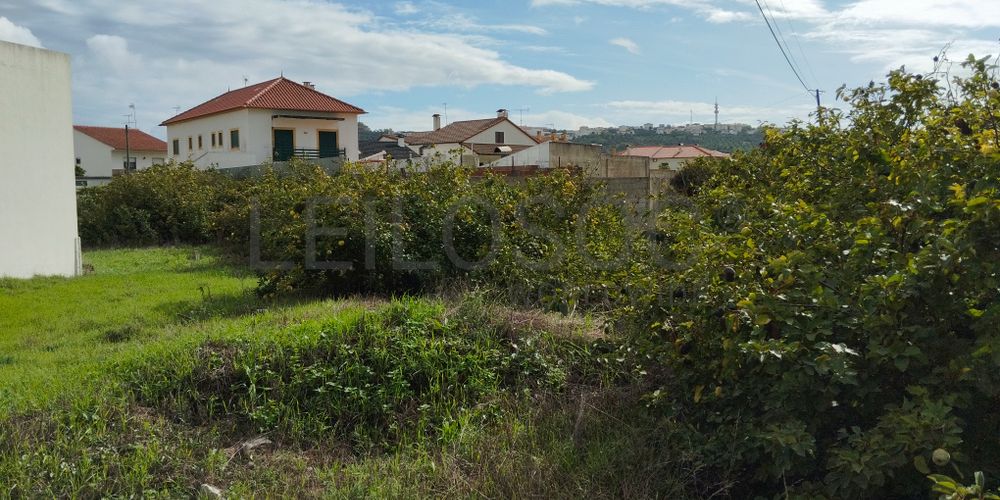 Terreno · Abrantes, Santarém 4