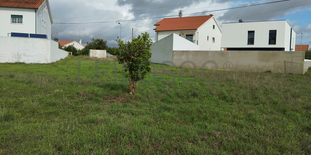 Terreno · Abrantes, Santarém 3