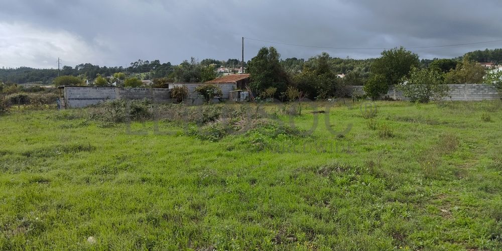 Terreno · Abrantes, Santarém
