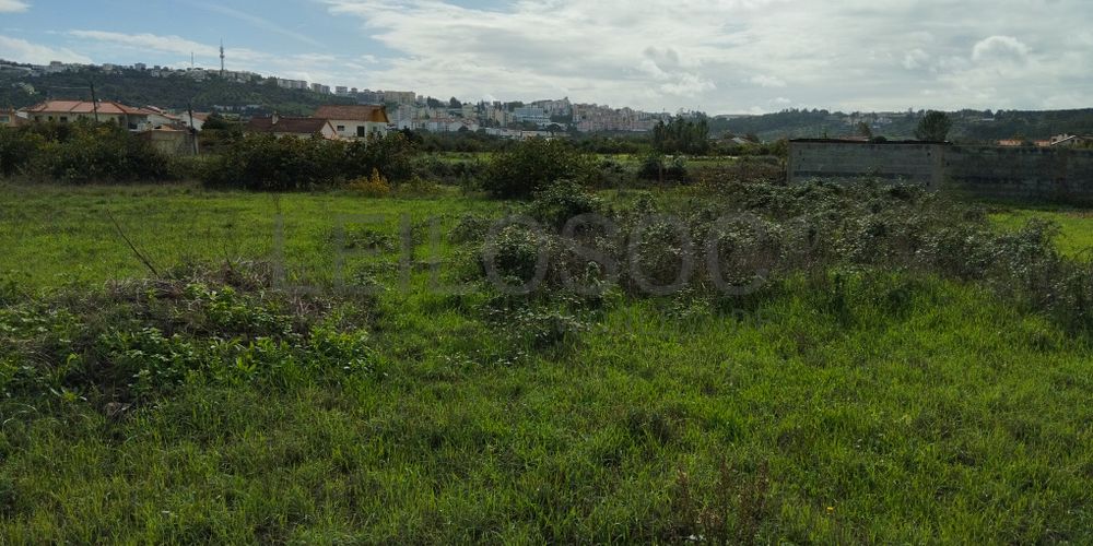 Terreno · Abrantes, Santarém 7