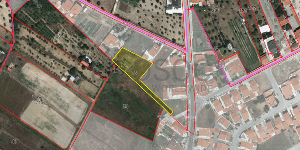 Terreno · Abrantes, Santarém 8