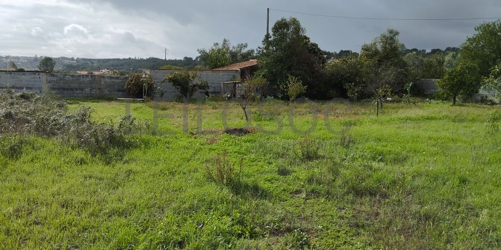 Terreno · Abrantes, Santarém 6