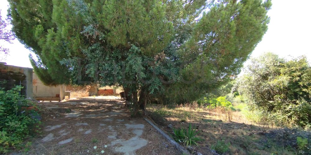 Moradia V6 (Para Recuperação) com Terreno · Vila Velha de Ródão 10