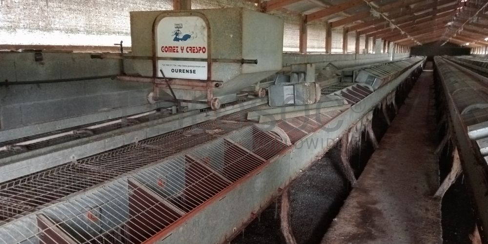 Proporção de 17/20 de Pavilhões para Produção Animal · Terrenos · Vila Pouca de Aguiar 31