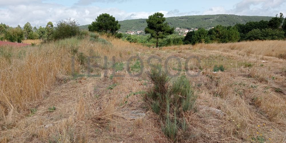 Proporção de 17/20 de Pavilhões para Produção Animal · Terrenos · Vila Pouca de Aguiar 24