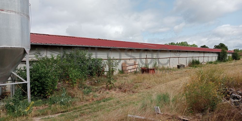 Proporção de 17/20 de Pavilhões para Produção Animal · Terrenos · Vila Pouca de Aguiar 3