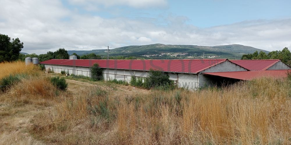 Proporção de 17/20 de Pavilhões para Produção Animal · Terrenos · Vila Pouca de Aguiar