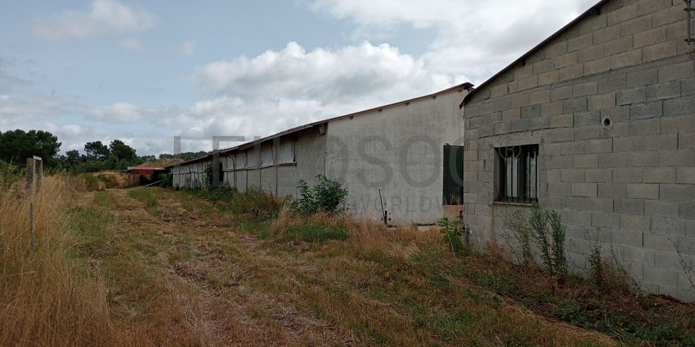 Proporção de 17/20 de Pavilhões para Produção Animal · Terrenos · Vila Pouca de Aguiar 6