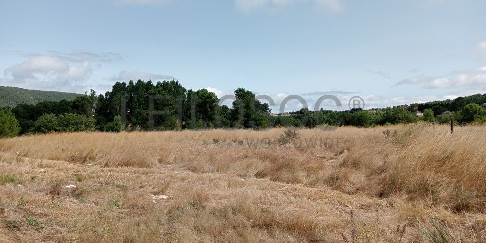 Proporção de 17/20 de Pavilhões para Produção Animal · Terrenos · Vila Pouca de Aguiar 25