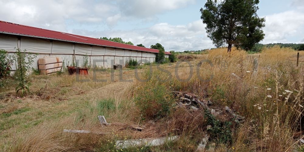 Proporção de 17/20 de Pavilhões para Produção Animal · Terrenos · Vila Pouca de Aguiar 4