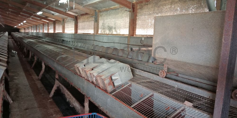 Proporção de 17/20 de Pavilhões para Produção Animal · Terrenos · Vila Pouca de Aguiar 32