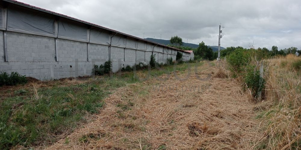 Proporção de 17/20 de Pavilhões para Produção Animal · Terrenos · Vila Pouca de Aguiar 5