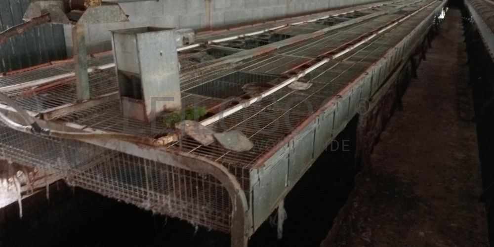 Proporção de 17/20 de Pavilhões para Produção Animal · Terrenos · Vila Pouca de Aguiar 33