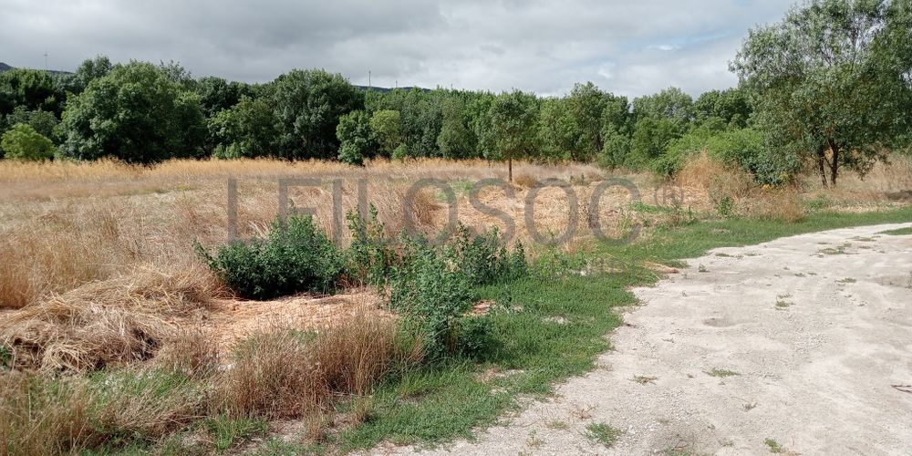 Proporção de 17/20 de Pavilhões para Produção Animal · Terrenos · Vila Pouca de Aguiar 23