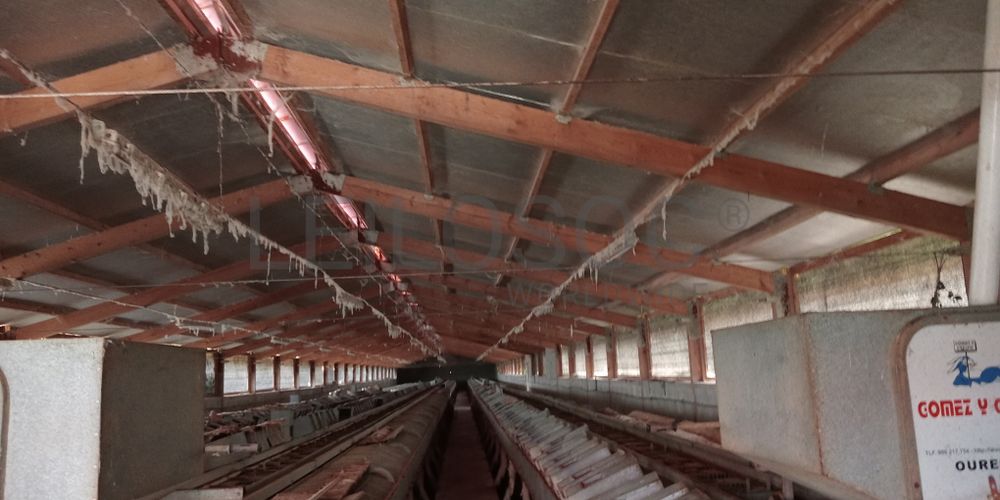 Proporção de 17/20 de Pavilhões para Produção Animal · Terrenos · Vila Pouca de Aguiar 35