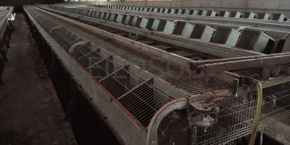 Proporção de 17/20 de Pavilhões para Produção Animal · Terrenos · Vila Pouca de Aguiar 34