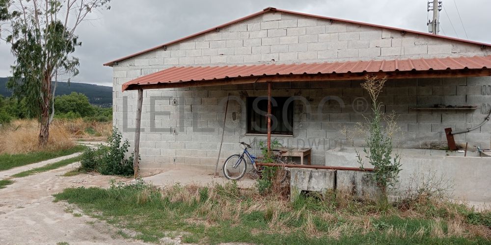Proporção de 17/20 de Pavilhões para Produção Animal · Terrenos · Vila Pouca de Aguiar 11