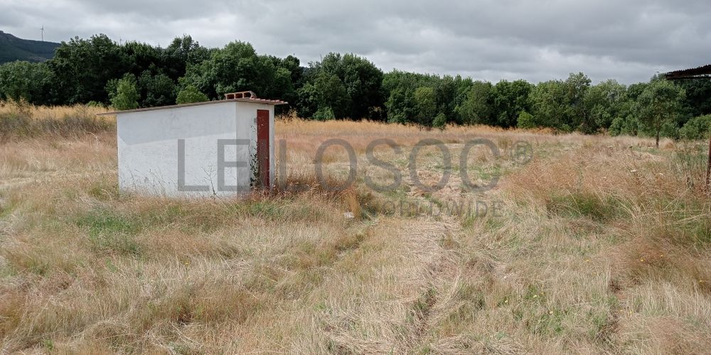Proporção de 17/20 de Pavilhões para Produção Animal · Terrenos · Vila Pouca de Aguiar 21