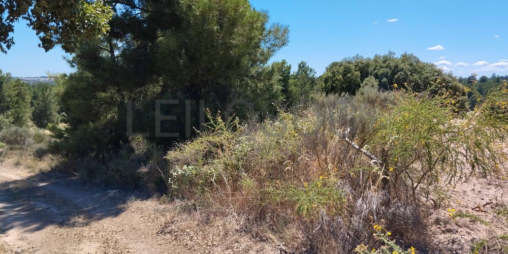 Terreno com 2,6 hectares · Penamacor, Castelo Branco 3