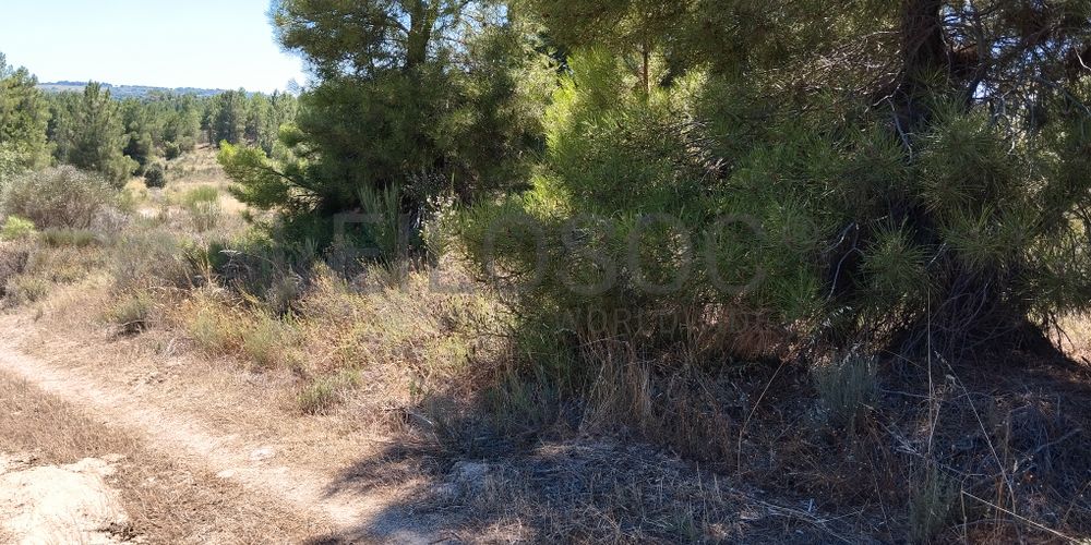 Terreno com 2,6 hectares · Penamacor, Castelo Branco 4