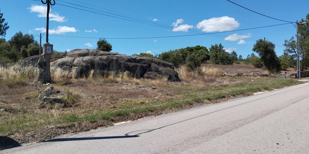 Terreno com 2,6 hectares · Penamacor, Castelo Branco 7