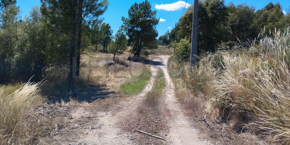 Terreno com 2,6 hectares · Penamacor, Castelo Branco 8