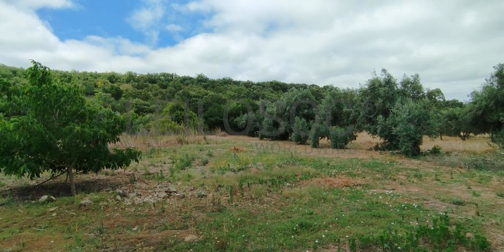 Terreno · Ferreira do Zêzere, Santarém 4