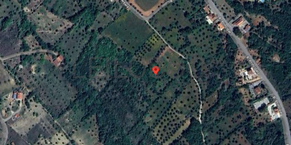 Terreno · Ferreira do Zêzere, Santarém 7