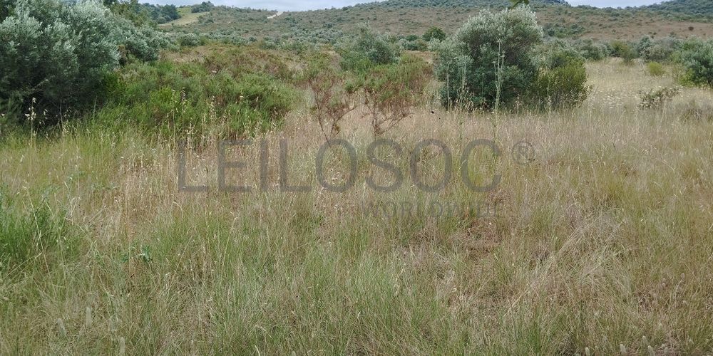 Terreno · Ferreira do Zêzere, Santarém