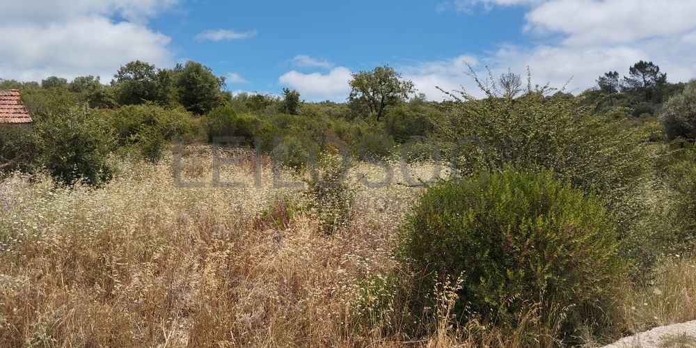 Terreno · Ferreira do Zêzere, Santarém