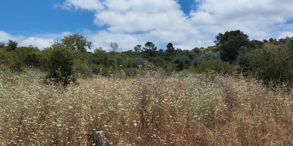 Terreno · Ferreira do Zêzere, Santarém 2
