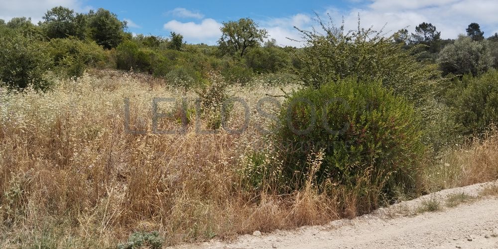 Terreno · Ferreira do Zêzere, Santarém 3