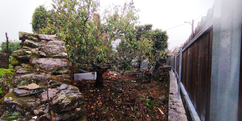 Proporção de 1/2 de Moradia para Recuperação · Mortágua, Viseu 6
