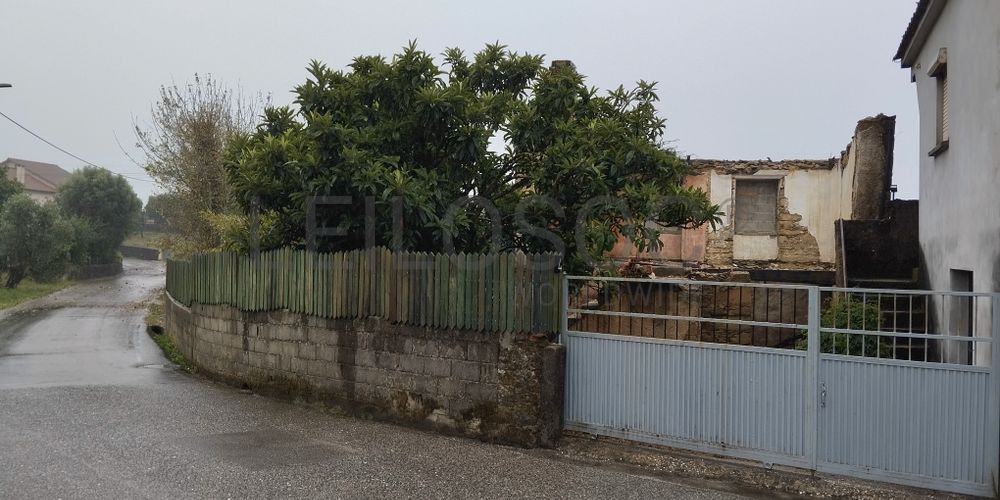 Proporção de 1/2 de Moradia para Recuperação · Mortágua, Viseu