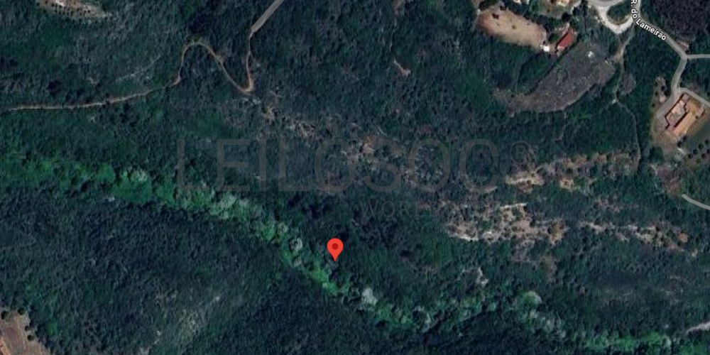 Proporção de 1/2 de Terreno · Alcobaça