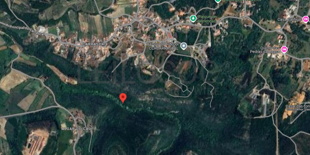 Proporção de 1/2 de Terreno · Alcobaça 3
