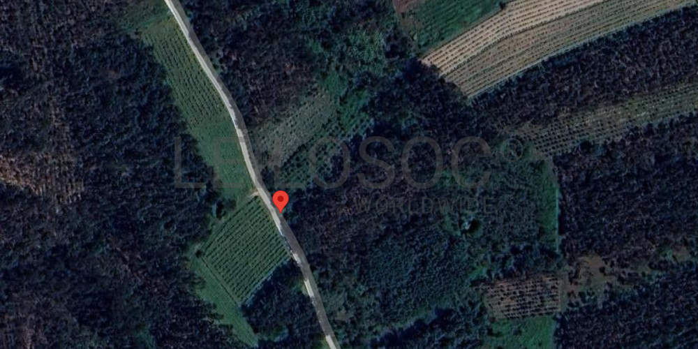 Terreno · Cantanhede, Coimbra 6