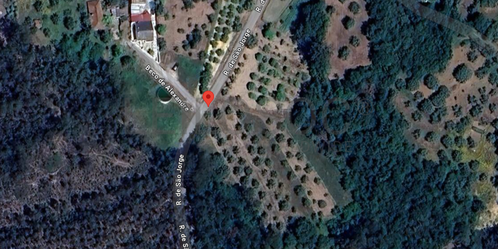 Proporção de 1/2 de Terreno · Soure, Coimbra 5