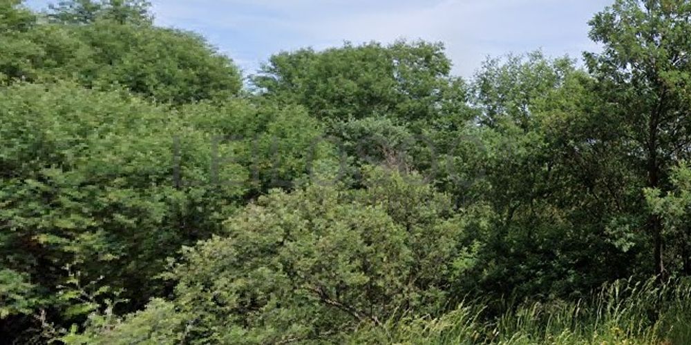 Terreno com 9.000 m² · Silvares, Fundão (3/4)