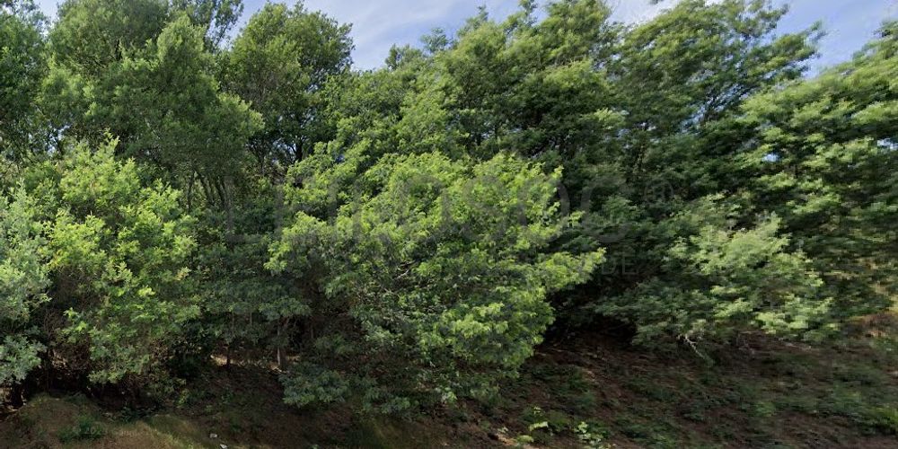 Terreno com 9.000 m² · Silvares, Fundão (2/4)
