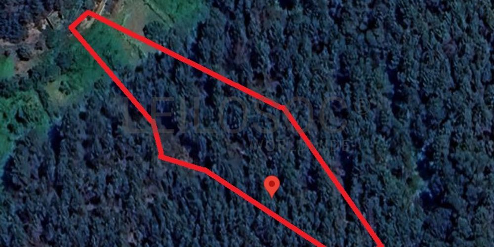 Terreno com 9.000 m² · Silvares, Fundão (4/4)