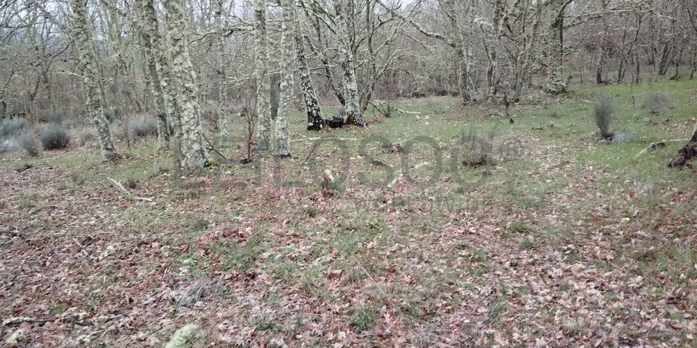 Proporção de 1/2 de Terreno · Aldeia Velha, Sabugal