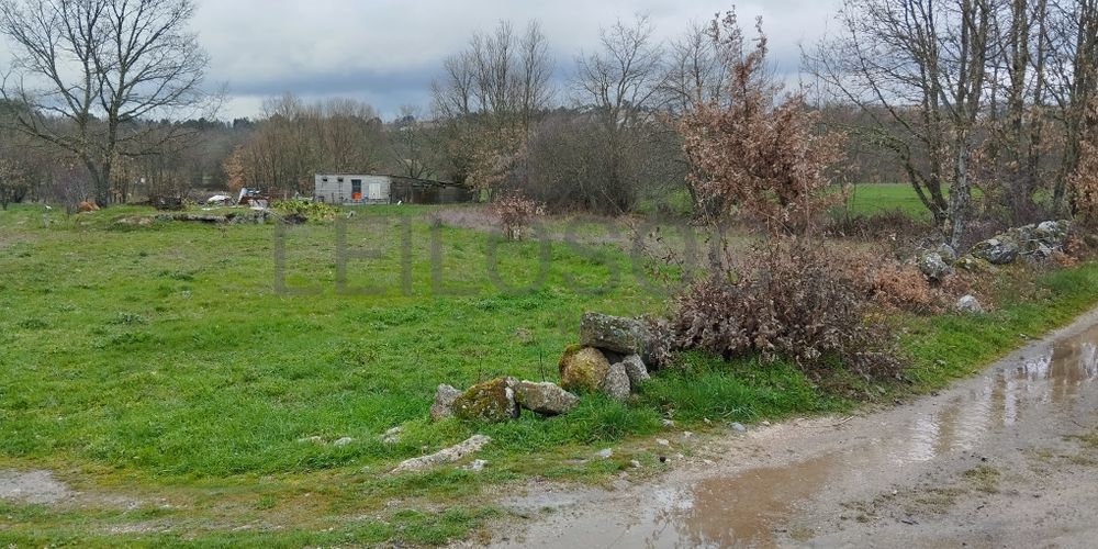 Terreno com 1.810 m² · Aldeia Velha, Sabugal 2