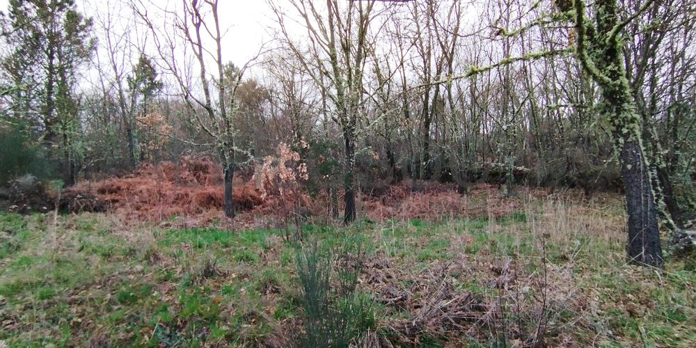 Terreno com 610,00 m² · Aldeia Velha, Sabugal