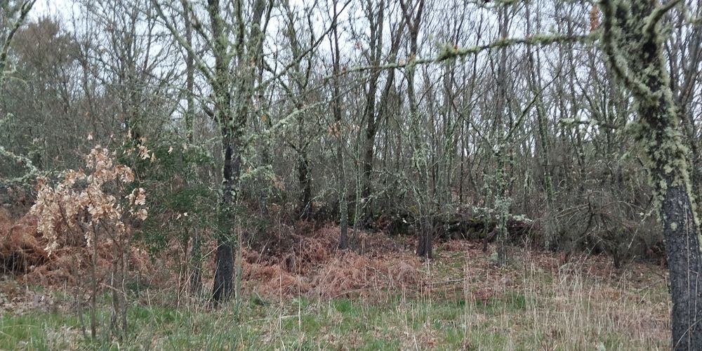 Terreno com 610,00 m² · Aldeia Velha, Sabugal 2